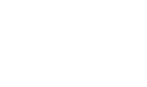 Woo Logo